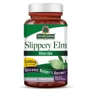 Nature's Answer, Corteccia di olmo scivoloso, 350 mg, 90 capsule