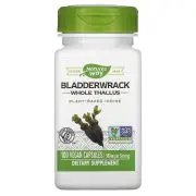 Nature's Way, Tallo intero di vescica, 580 mg, 100 capsule veg.